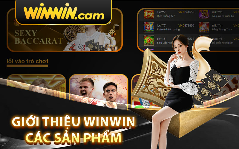 Giới Thiệu Winwin Các Sản Phẩm